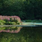 Black River Near Milford, Massachusetts