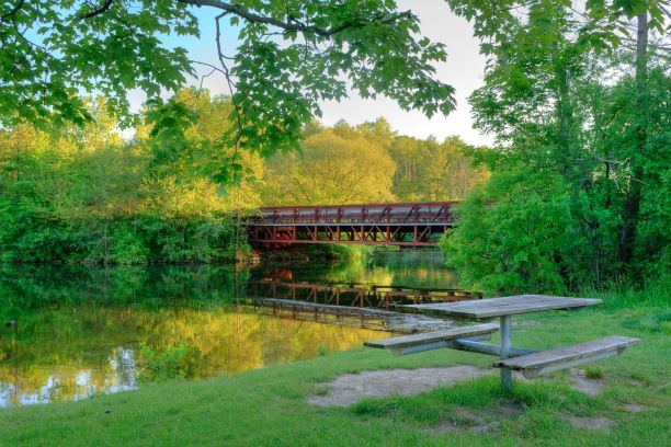 Huron River Near Ann Arbor MI