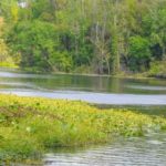 WekiKayking Wekiwa Springs State Park, Florida