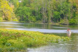 WekiKayking Wekiwa Springs State Park, Florida