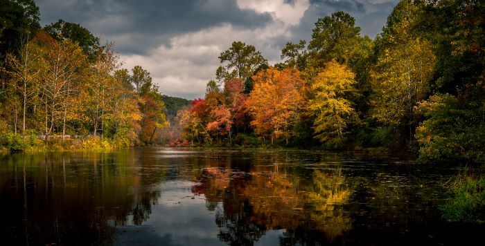 Swartswood Lake at Swartswood Lake State Park