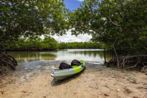 Kayak Oleta River Miami