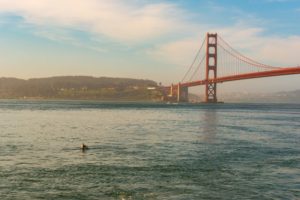 San Francisco Kayaking