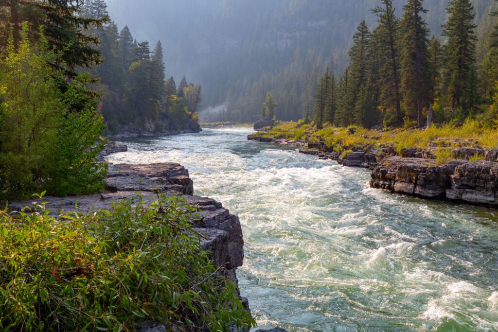 White Water Rapids of Snake River near Jackson, WY